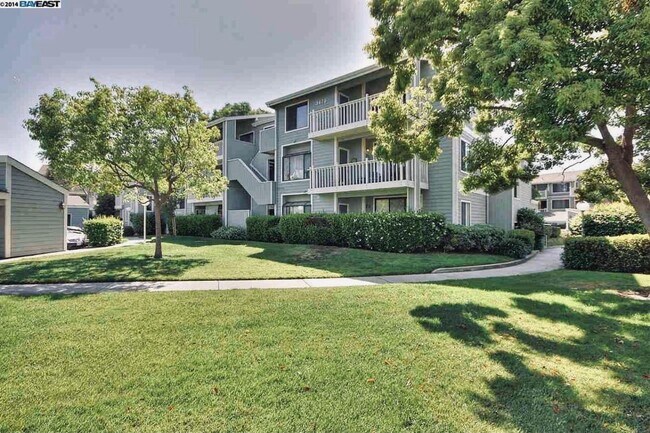 Complex - 37200 Meadowbrook Cmn