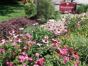 Meadowood Apartments - Meadowood