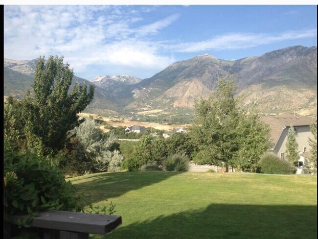 Backyard view - 237 Meadowlark Dr
