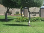 Primary Photo - 4828 W Orangewood Ave