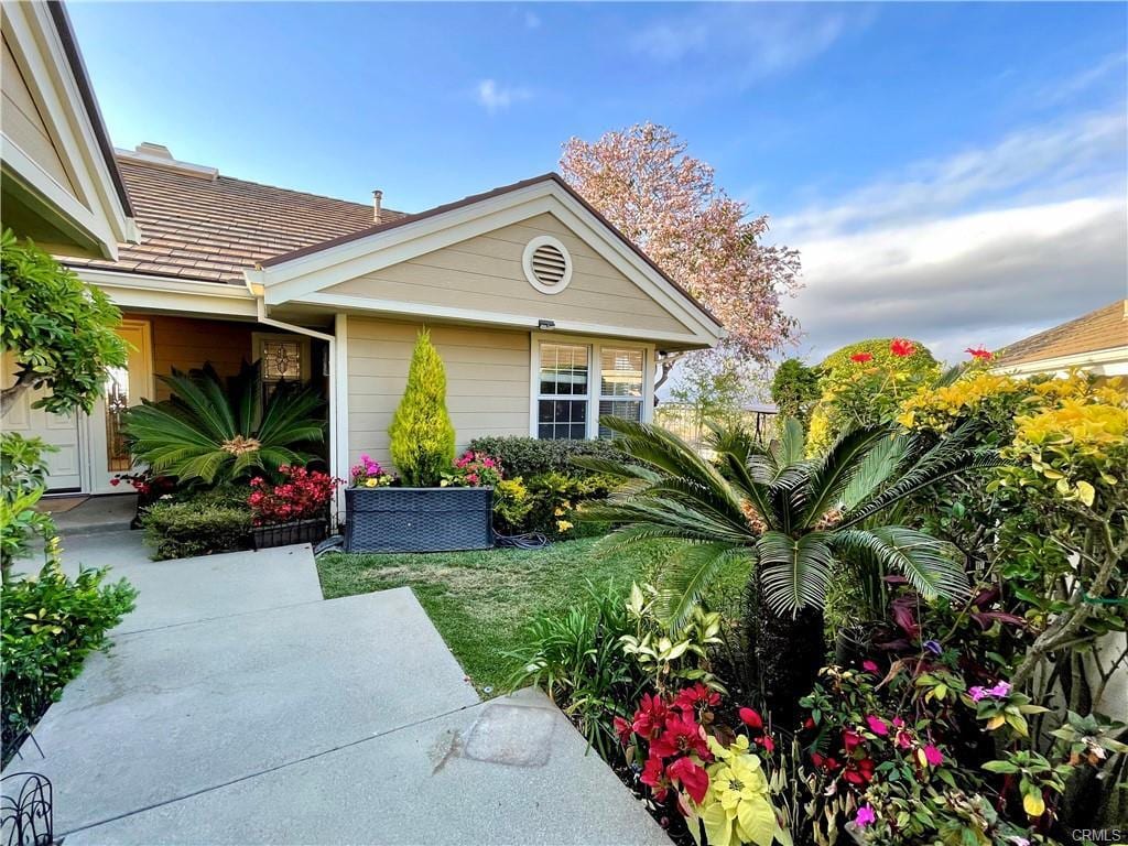 Foto principal - 6 Saros