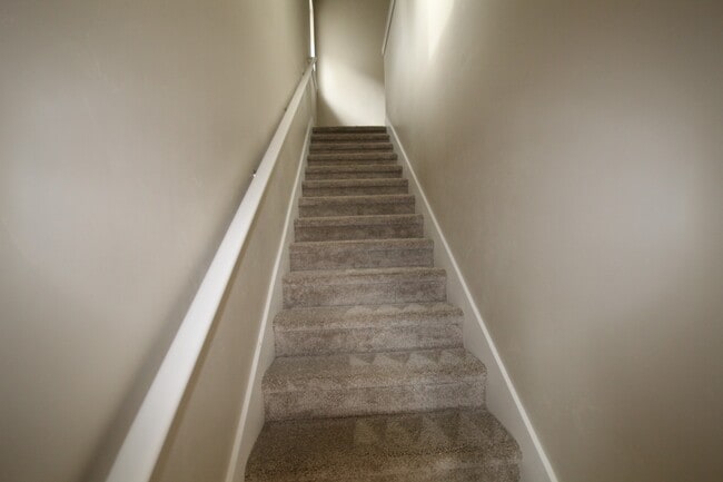 Building Photo - dou499