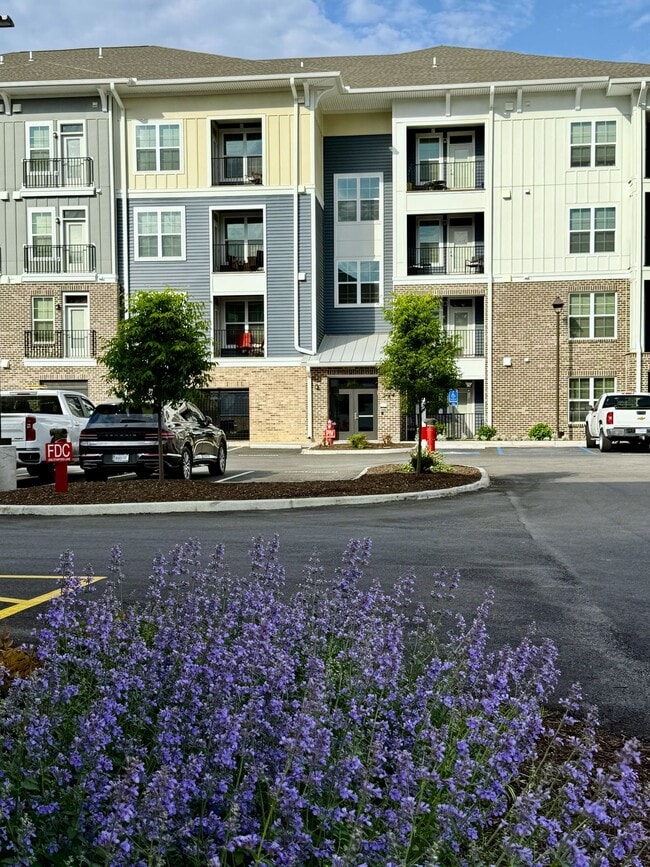 Building Photo - Avant At Huntington Pointe