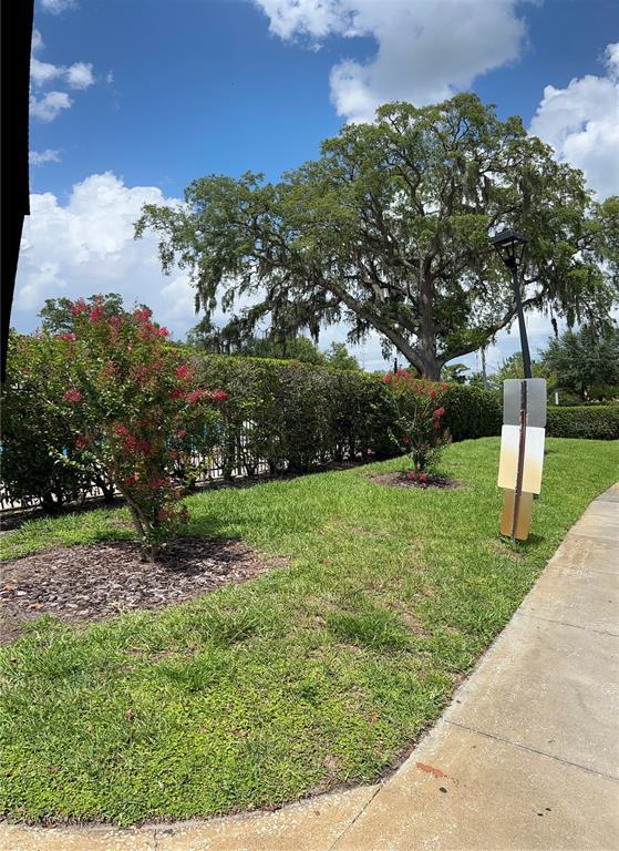 Foto del edificio - 3229 Oak Lawn Pl