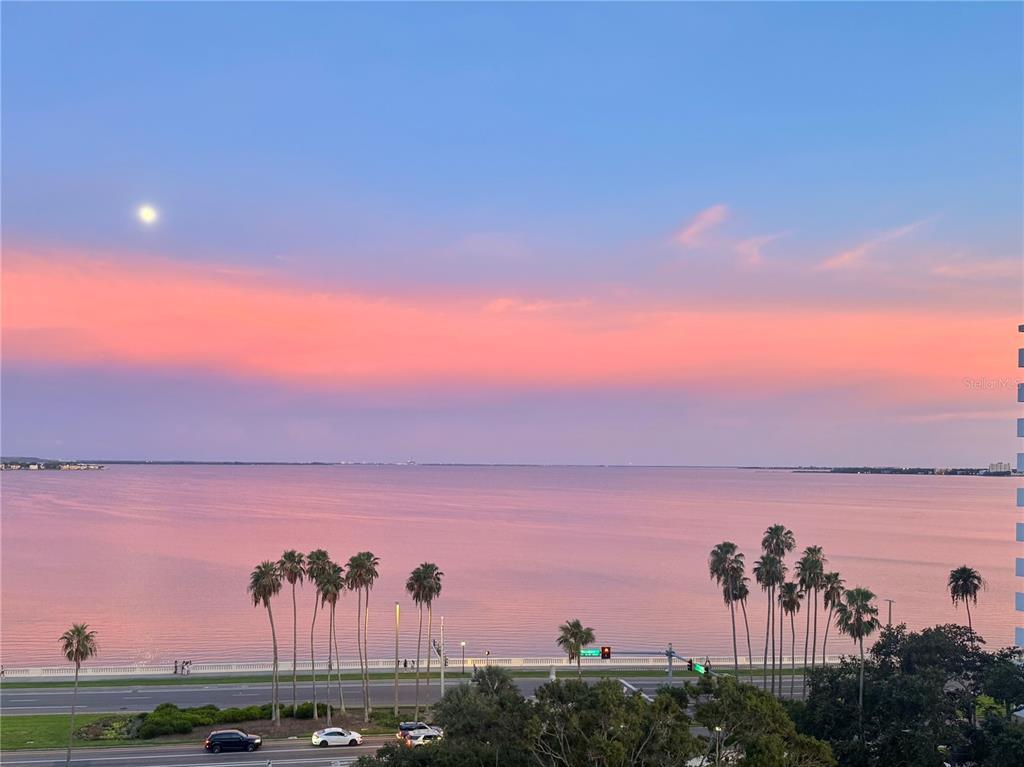 Foto principal - 2109 Bayshore Blvd