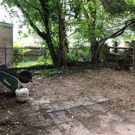 Rear yard - 117 Sumac St