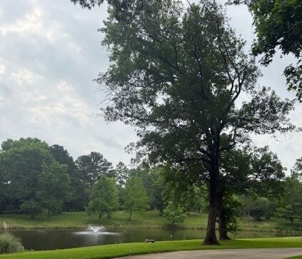 Foto del edificio - 1 Spring Hl