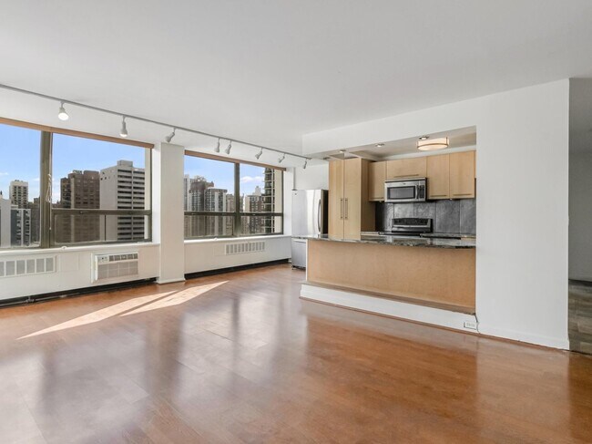 Foto del edificio - 1455 N Sandburg Terrace