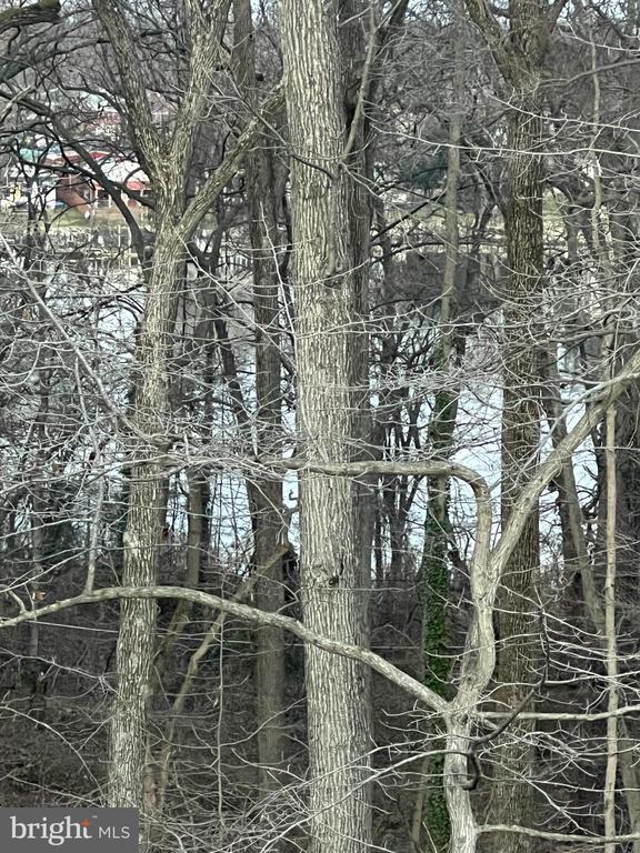 Foto del edificio - 304 Sweetbay Rd