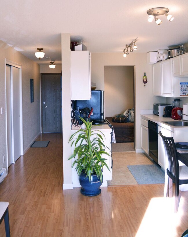 Foto del interior - Win Don