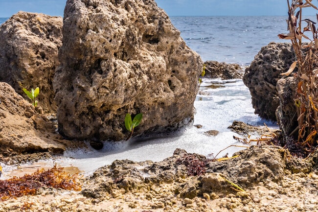 Sea foam relaxation is close to Florida City.