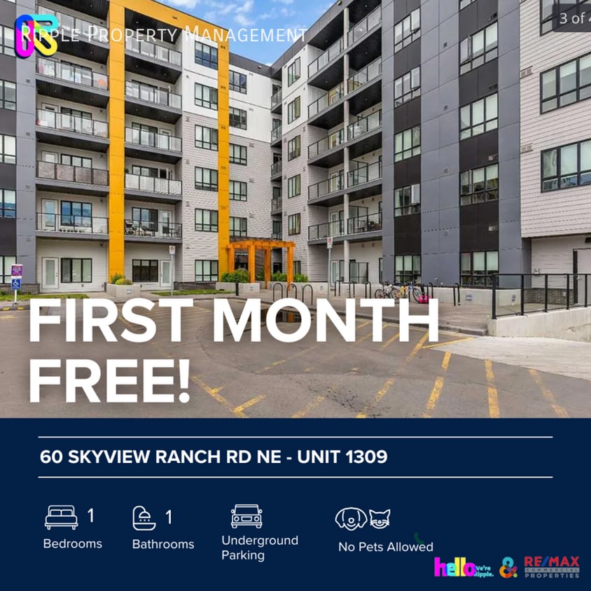 Photo principale - Modern 1 Beds, 1 Baths Apartment/Condo | N...