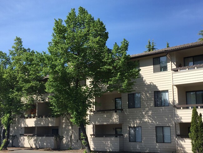 Foto del interior - Jackson Greens