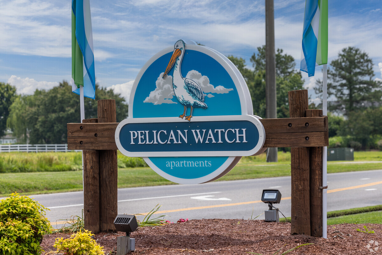 Primary Photo - Pelican Watch