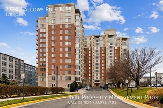 Building Photo - 2726 Gallows Rd