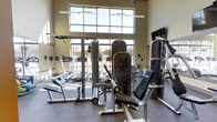 This single-story fitness center is designed to support a well-rounded workout experience. The space features soaring ceiling height, accentuated by a row of large, grid-paned windows that span nearly the full width of one wall, flooding the interior with abundant natural light and offering views of the surrounding outdoor landscape. The elevated clerestory-style windows contribute to an open, airy atmosphere throughout the room.

The flooring consists of durable rubber gym matting, ideal for heavy equipment use and providing traction and impact resistance. The strength training area is outfitted with a multi-station cable machine, a leg press or extension machine, and a dedicated weight bench, offering users a range of resistance training options. The cardio section includes multiple treadmills positioned along the windowed wall, as well as stationary bikes, allowing exercisers to enjoy natural light during their workouts.

A wall-mounted television is positioned for visibility across the floor, and linear overhead lighting supplements the natural light. The neutral-toned walls and clean layout create a functional, focused environment suited for both casual and dedicated fitness routines.