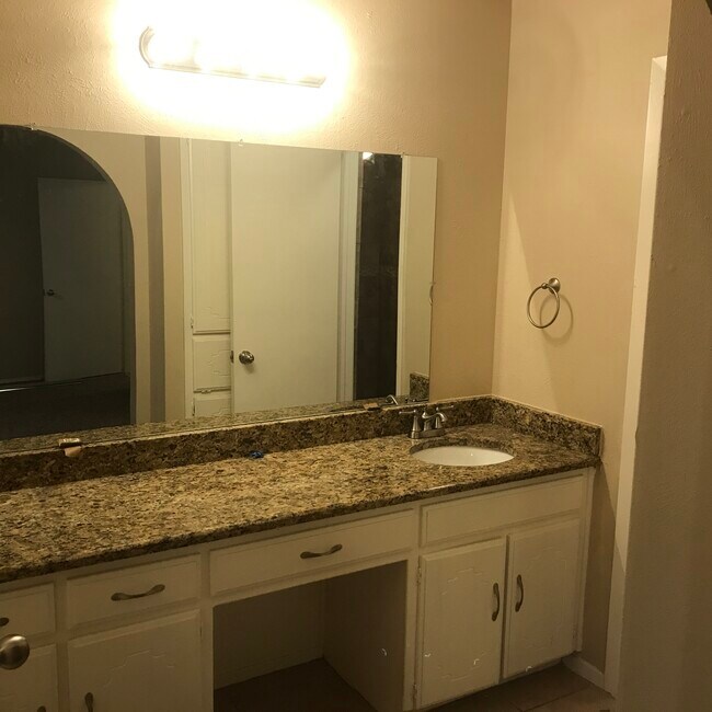 master bath sink and mirror - 2517 Warren Ln