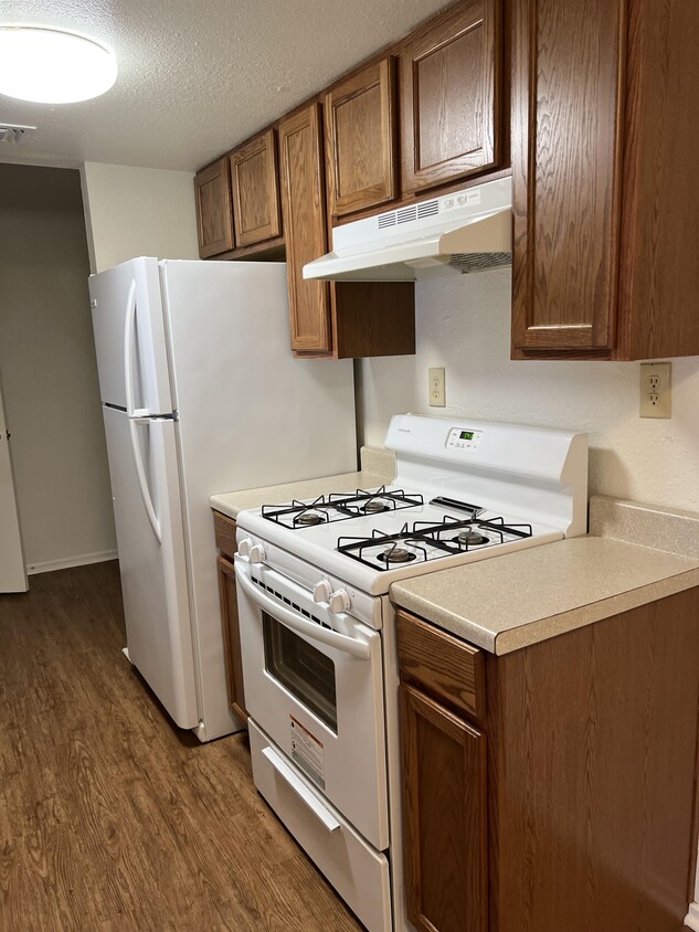 1105 Marlton St, San Marcos, TX 78666 Townhome Rentals in San Marcos