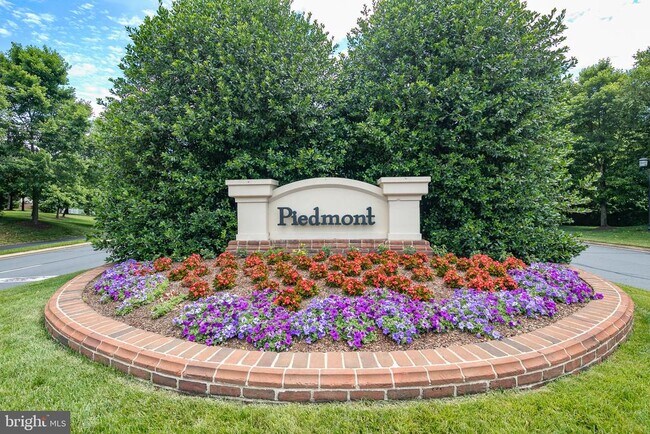 Building Photo - 13740 Piedmont Vista Dr