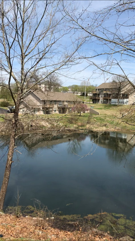 Primary Photo - BEAUTIFUL WALK-IN CONDO ~ 2 bed, 2 bath ~ ...