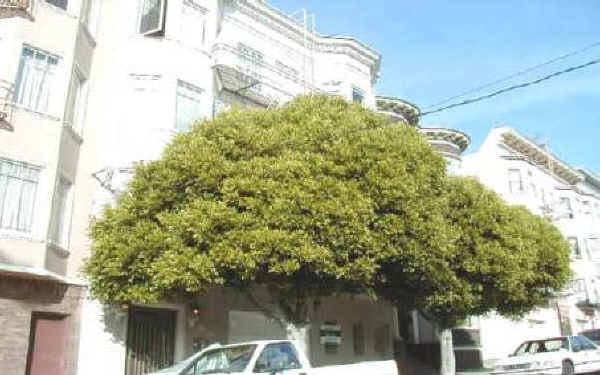 Foto principal - Alamo Square Apartment