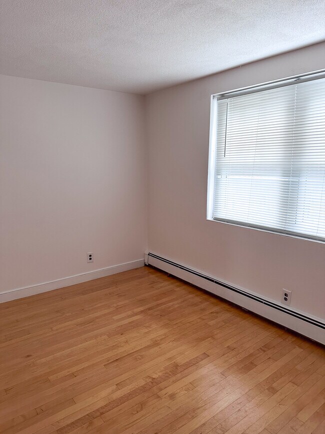 Bedroom 2 - 147 Emerson Gardens Rd