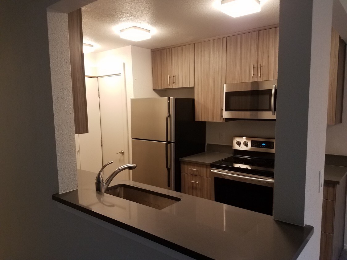 Modern Kitchen w/quartz counters - 725 9th Ave S