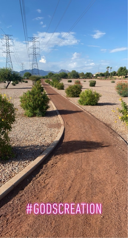 Photo - 12029 W Apache St House