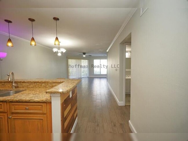 Building Photo - Beautiful 2-Bedroom Condo with Lake Views in Carrollwood