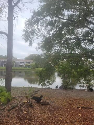 Foto del edificio - 4011 Muriel Pl