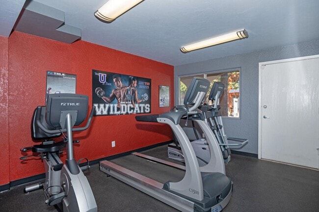 Building Photo - The U at Park - Near The U of A