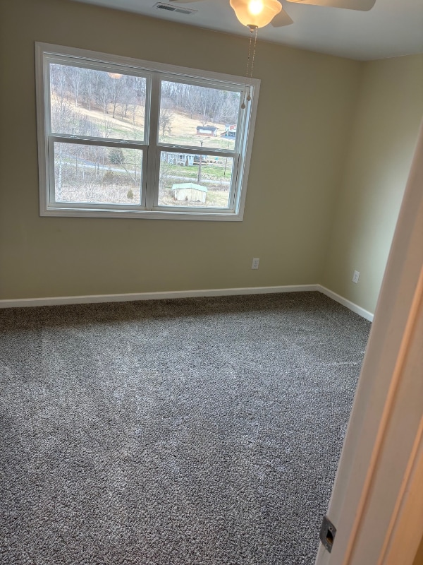 Building Photo - 135 Old Fall Creek Rd