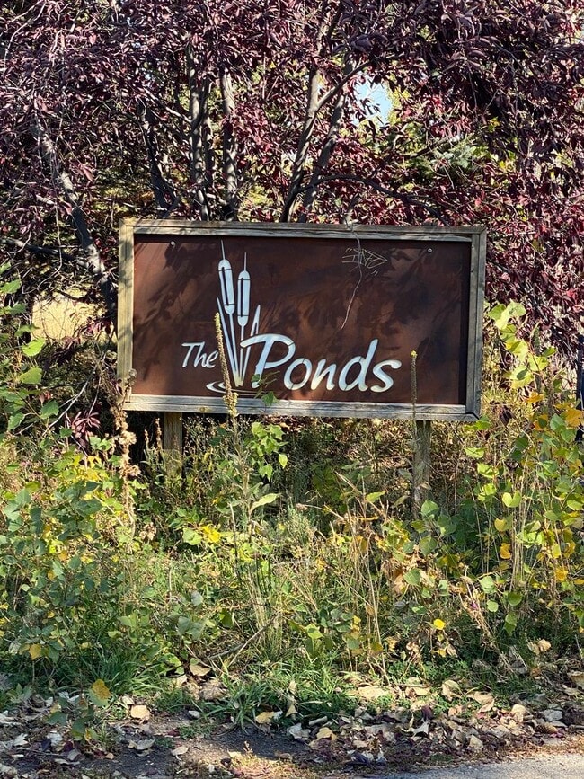 Building Photo - 170 Homestead Rd