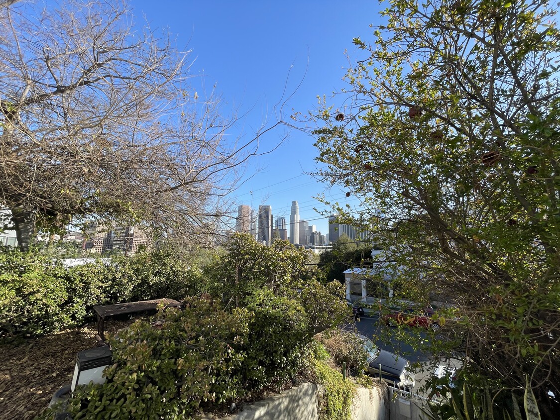 View of Downtown LA - 1261 Colton St