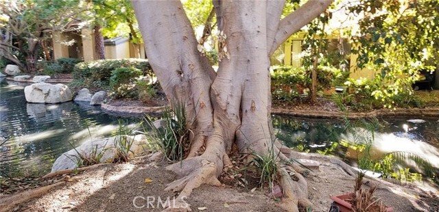 Foto del edificio - 4900 4900 E Chapman Ave