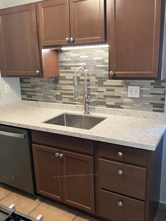 NEW Quartz Countertop, Stainless Sink, Semi-pro Kohler Gooseneck Faucet, garbage disposal - 74-5618 Palani Rd