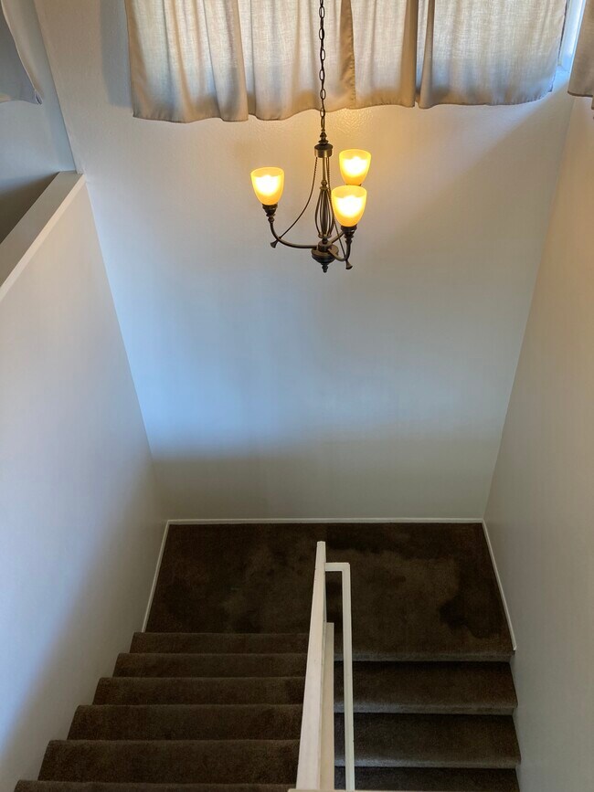 Foto del edificio - 934 Cone Flower Ln