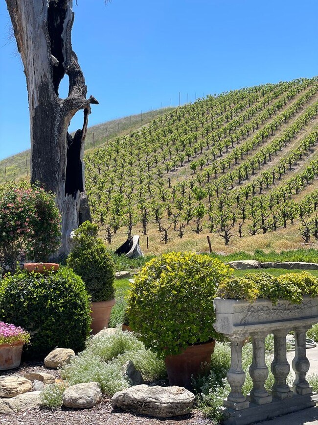 Foto del edificio - Gorgeous Wine Country 3 Bedroom 2 Bath Sin...