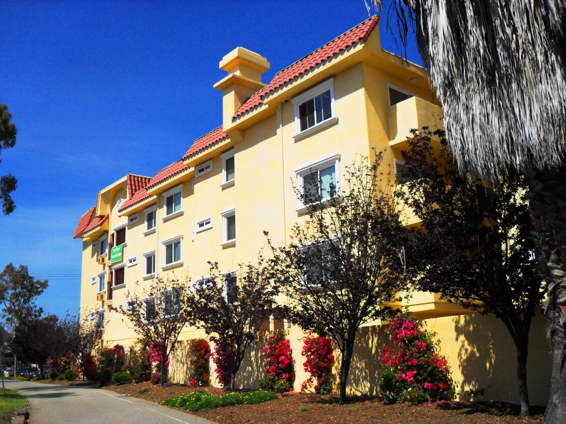 Primary Photo - Del Rey Vista Apartments