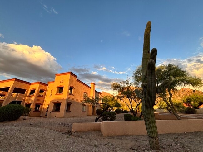 Building Photo - Pusch Ridge Apartment Homes