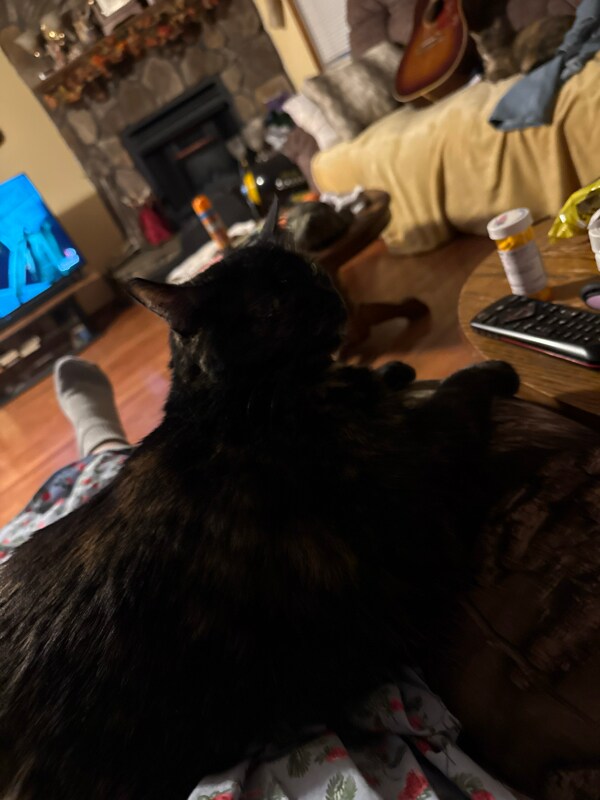 Building Photo - 87 Falling Rock Dr