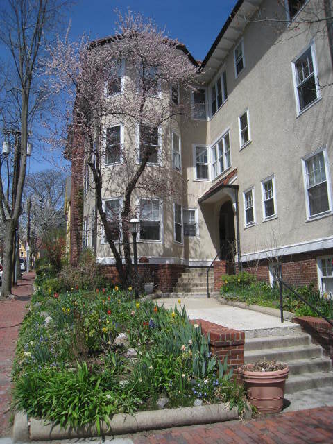 Foto del edificio - 7 Linnaean St