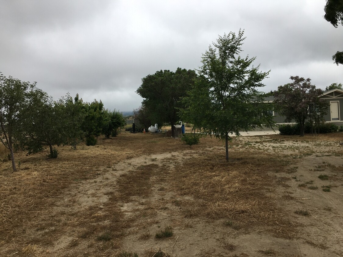 38490 Benton Way, Anza, CA 92539 House Rental in Anza, CA