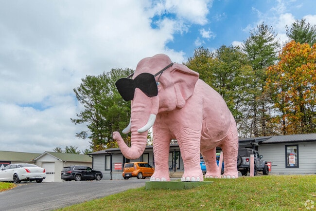 Ellie the Pink Elephant is one of Cookeville's unique landmarks.
