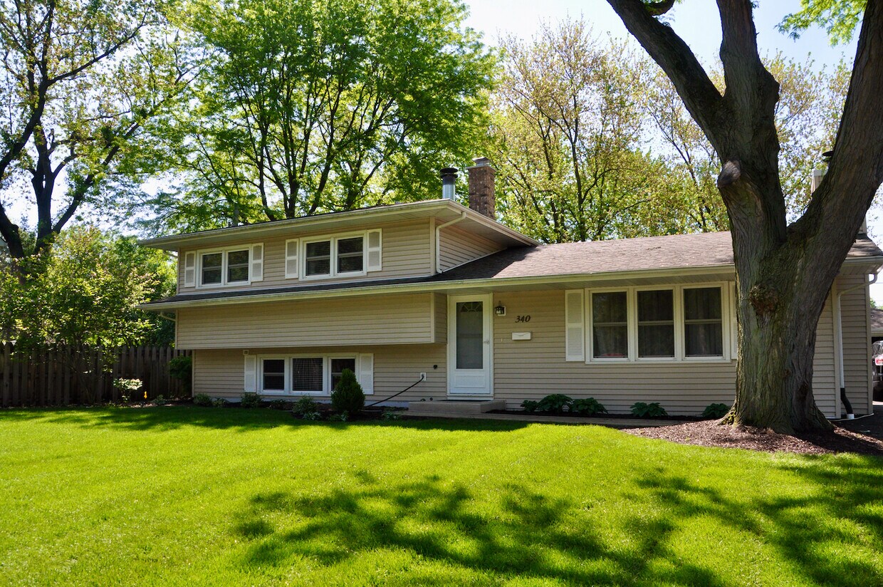 Foto principal - 340 Sycamore Dr
