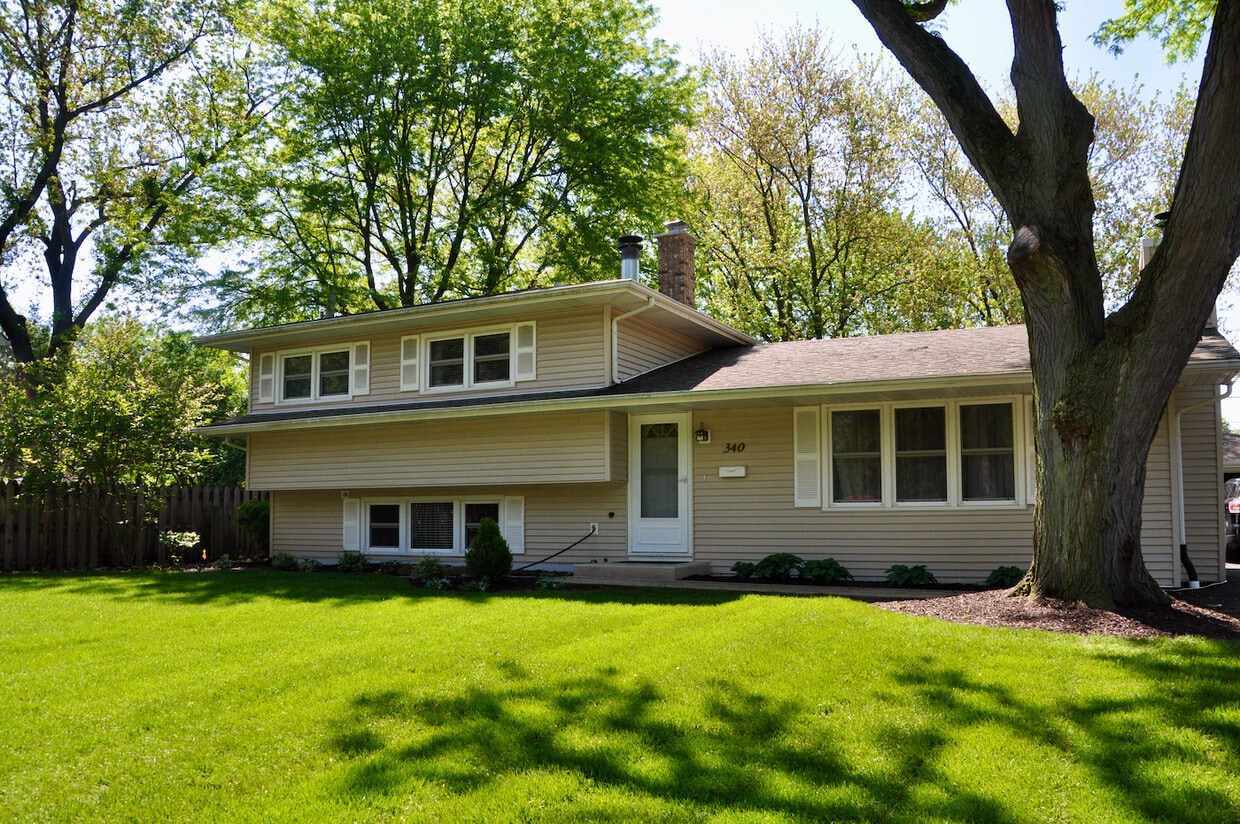 Primary Photo - 340 Sycamore Dr