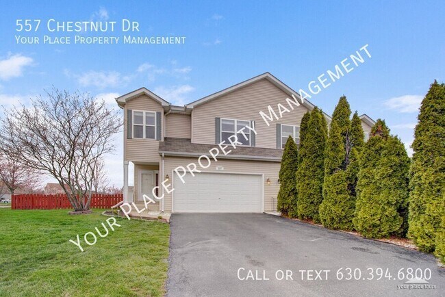 Foto del edificio - 557 Chestnut Dr