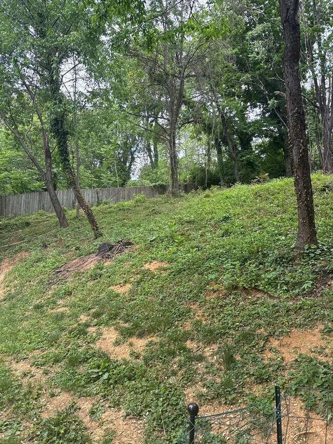 Building Photo - 3 BR House