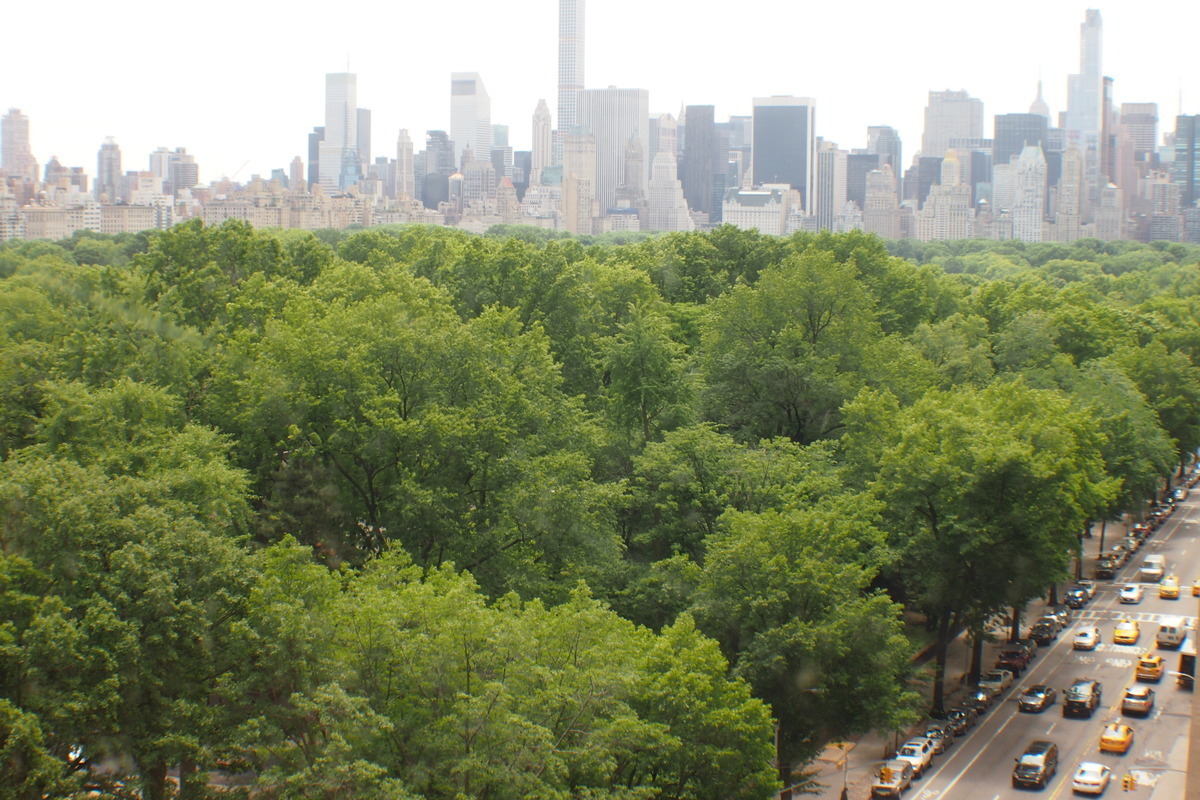 Primary Photo - 251 Central Park West