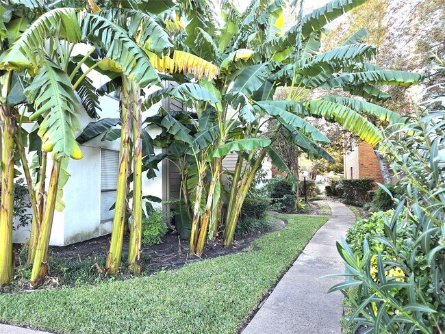 Building Photo - 10053 Westpark Dr